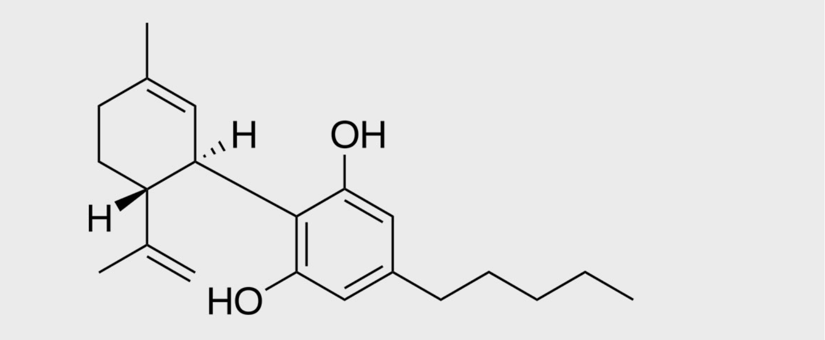 CBD a kosmetika tiny life 3